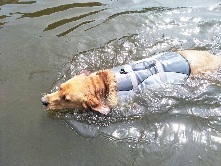 The Splashguard Pet Life Vest