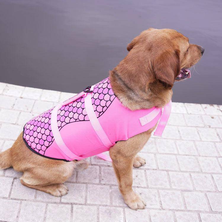 The Splashguard Pet Life Vest