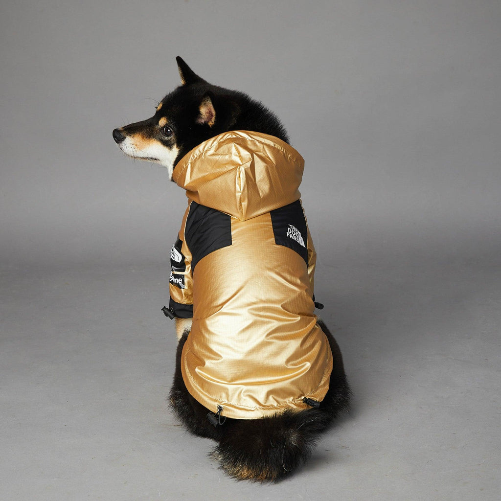 Golden Dog Raincoat - Stylish And Waterproof Pet Jacket