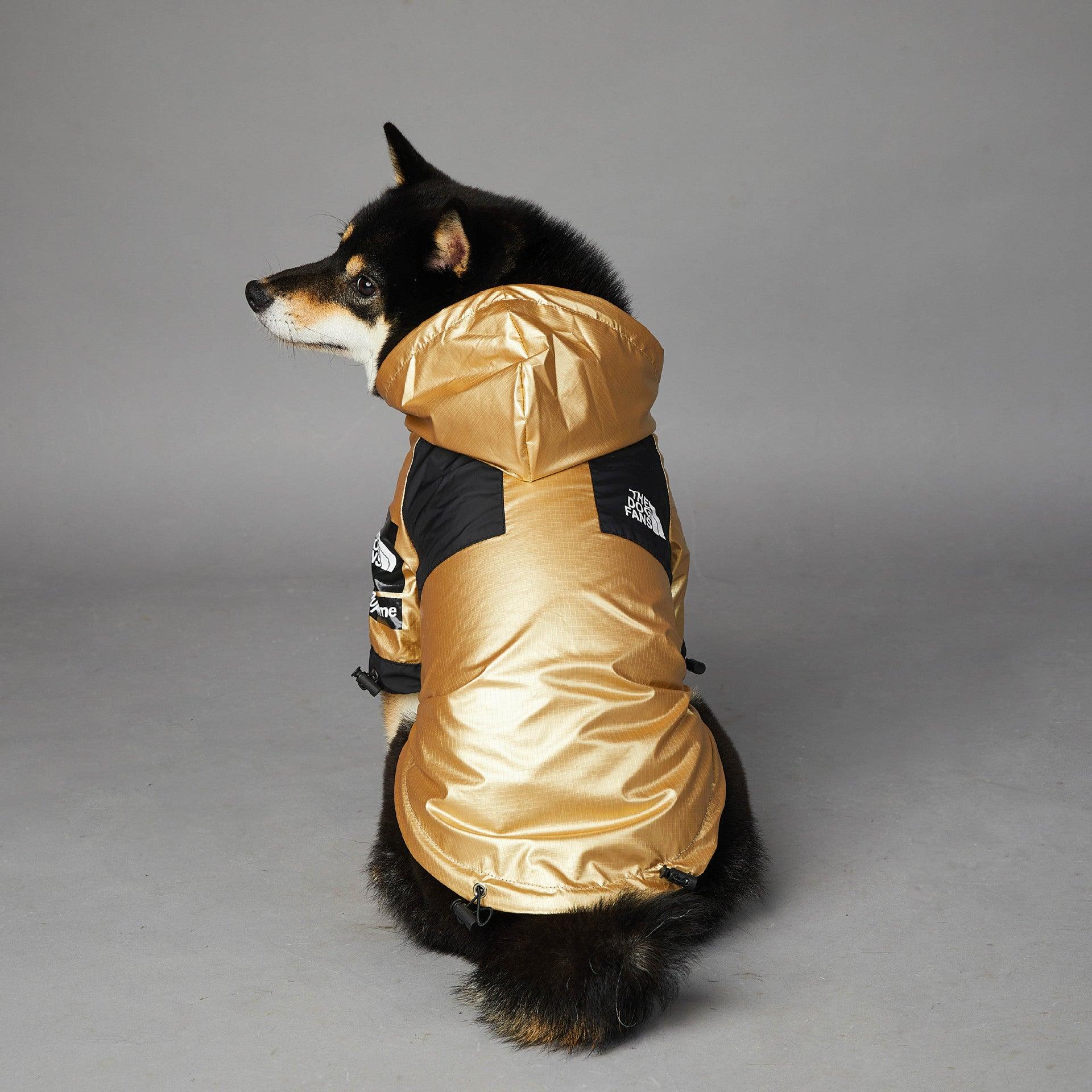 Golden Dog Raincoat - Stylish And Waterproof Pet Jacket